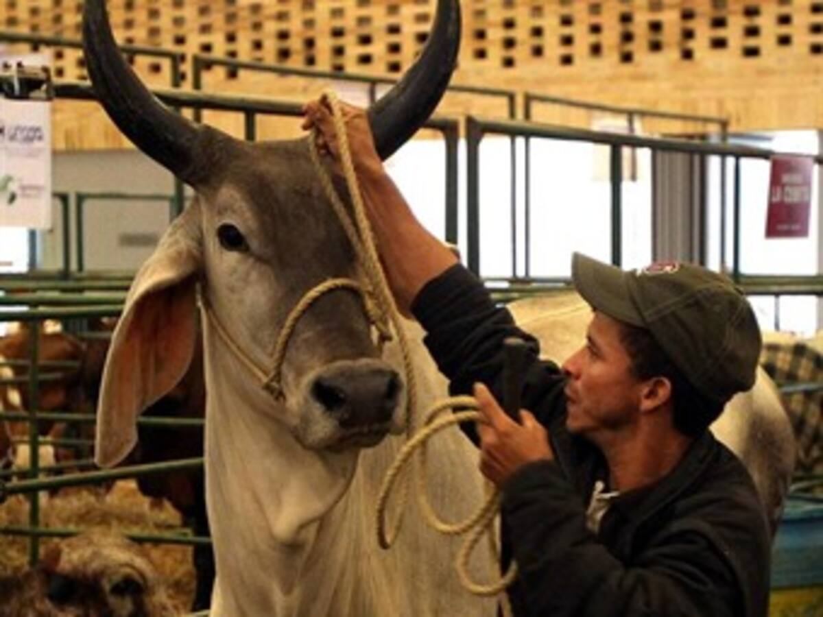Nueva Zelanda expresa interés por implementar técnicas agropecuarias en Colombia