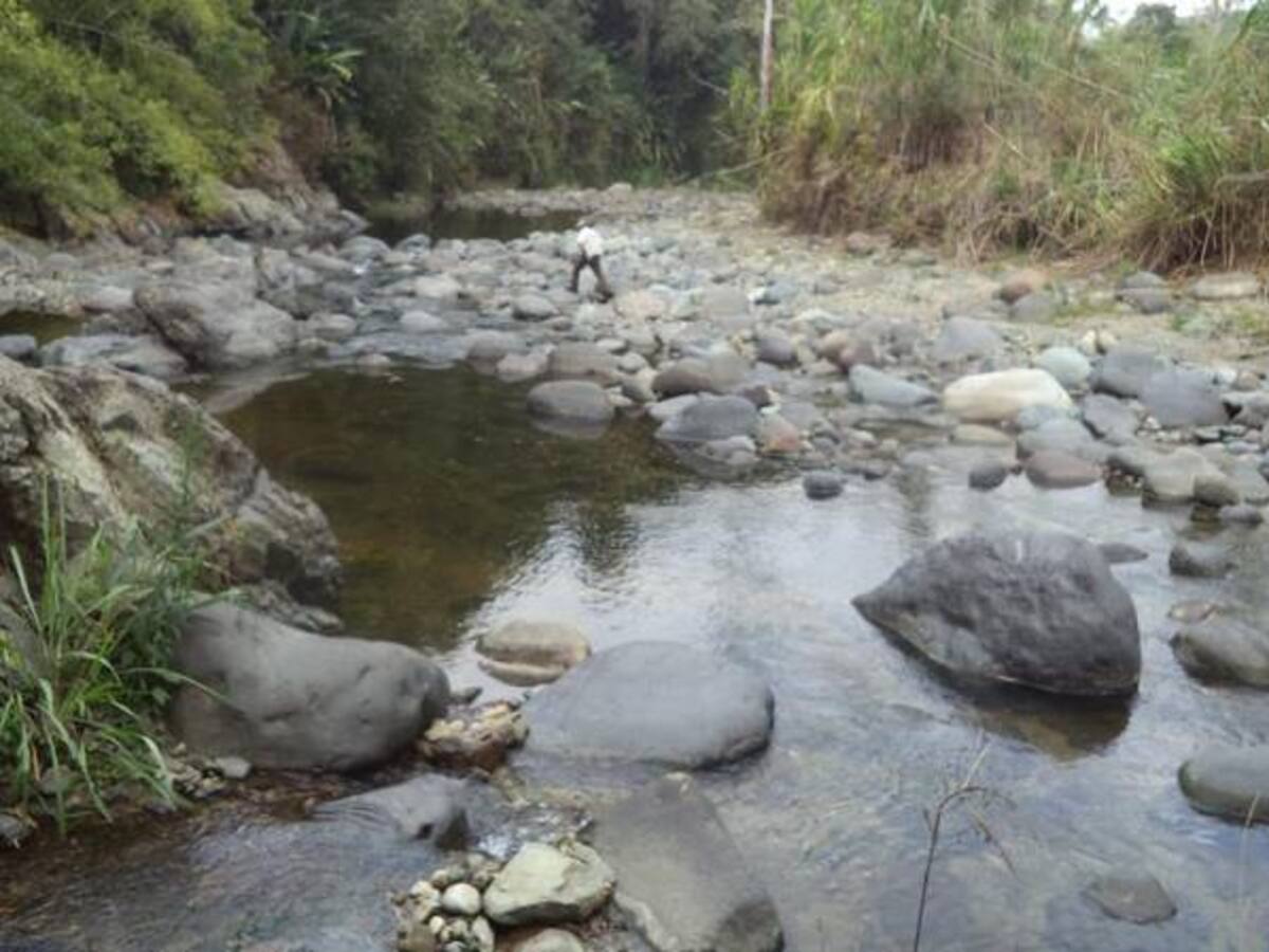 En 4 años el río Quindío no tendría capacidad para abastecer de agua a Armenia