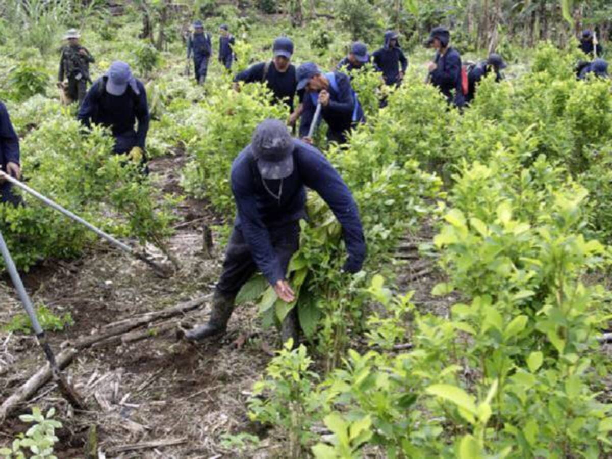 Asesinados en el Valle, cocaleros que estaban en el programa de sustitución