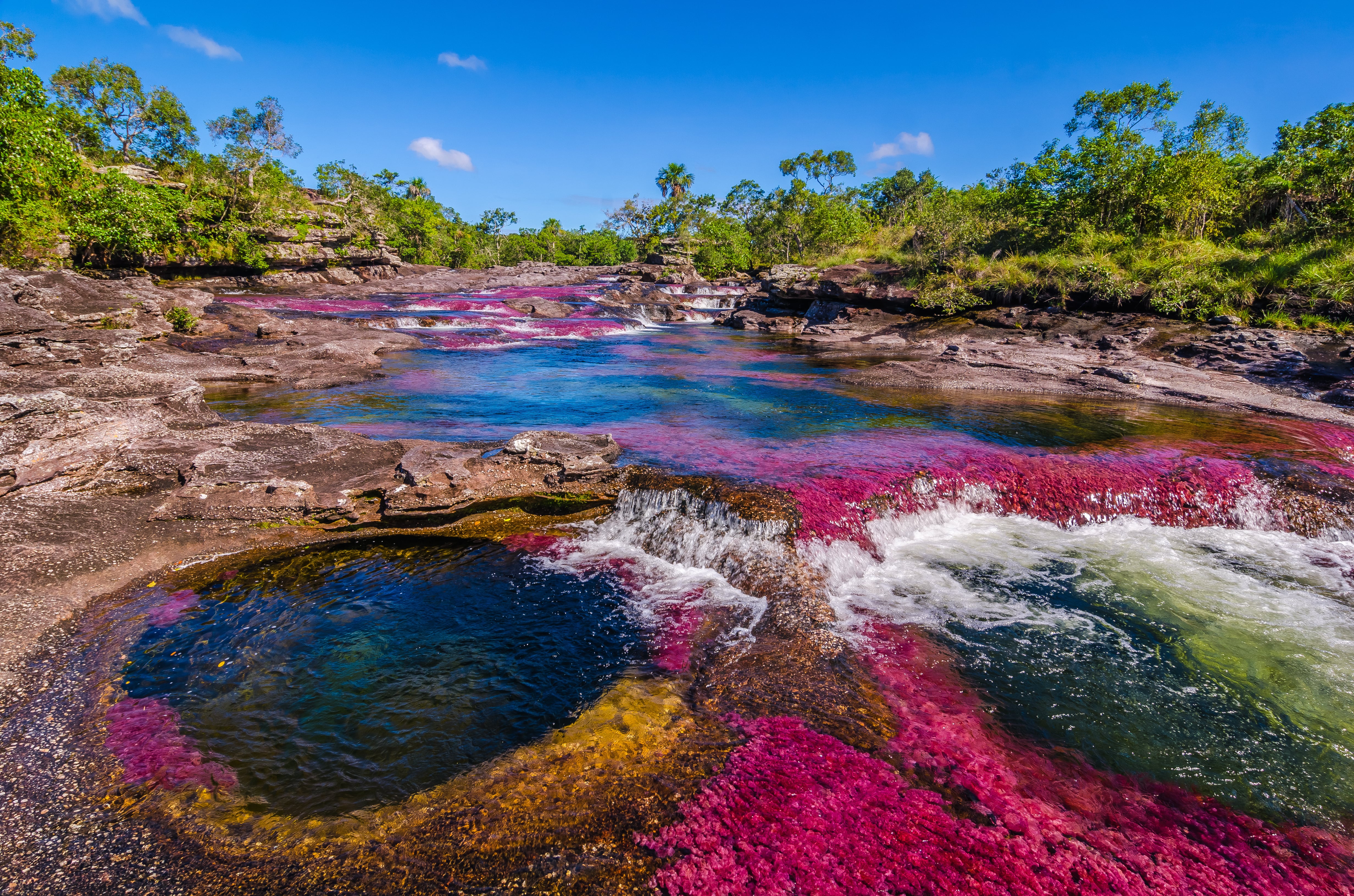 Caño Cristales (Getty Images)