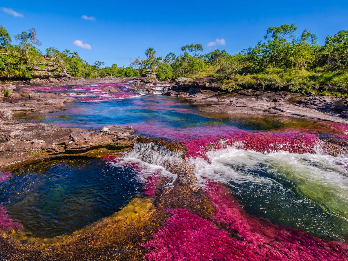 Tres reservas naturales más importantes de Colombia: ¿Cómo ir a estos parques orgánicos?