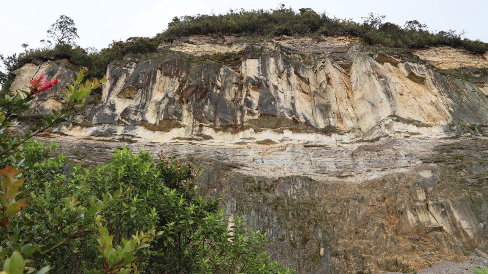 Serranía El Zuque// Foto: Secretaría de Ambiente