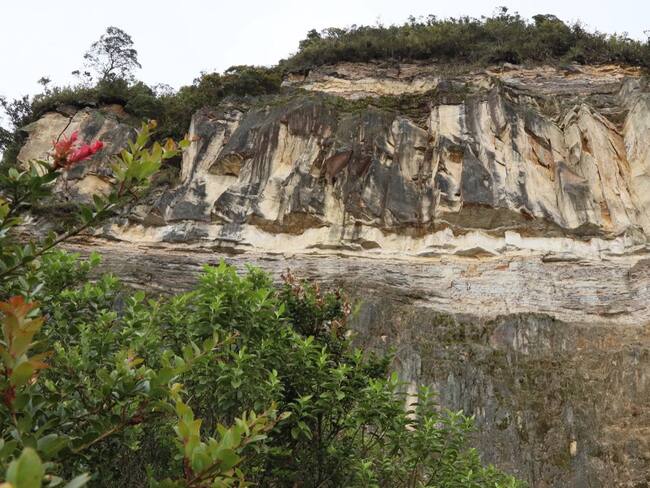 Serranía El Zuque// Foto: Secretaría de Ambiente