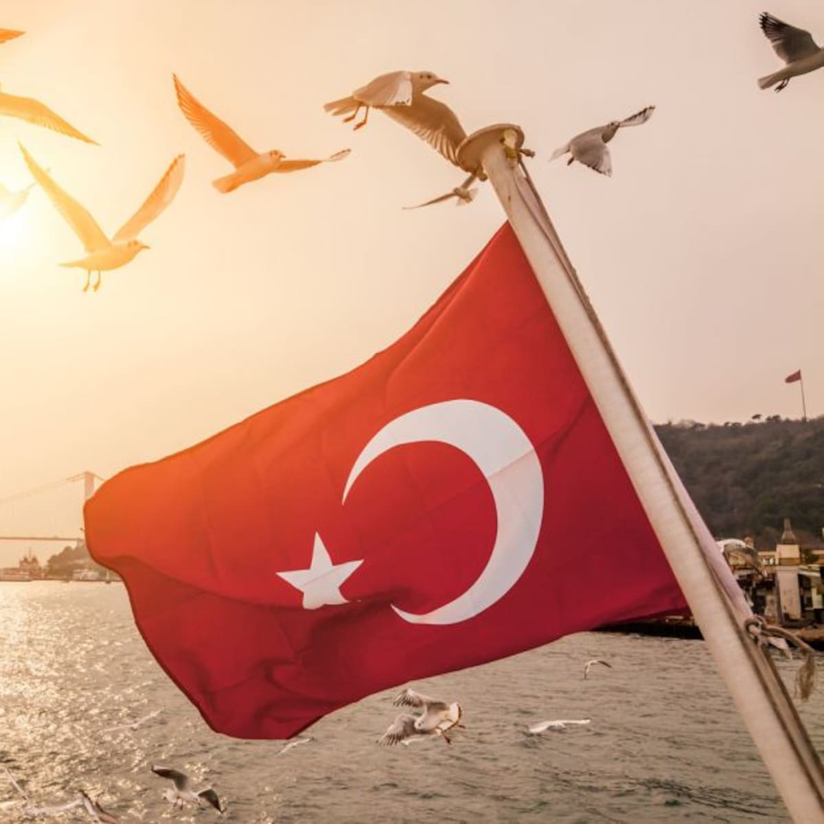 Turquía arrestó a unas 50 personas durante la Marcha del Orgullo en Estambul
