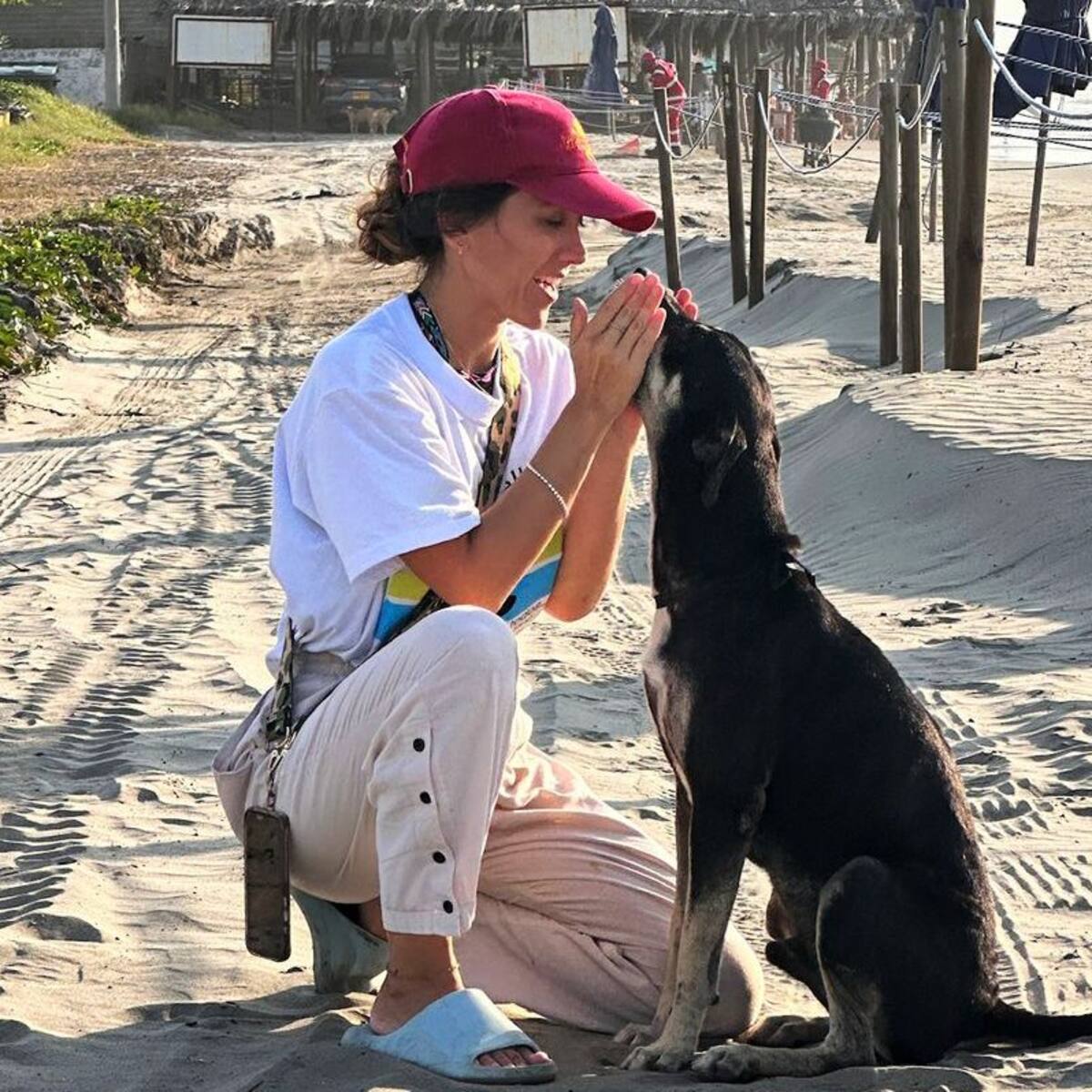 El documental “Perros de Hotel” visibiliza la realidad de los perros comunitarios en playas colombia