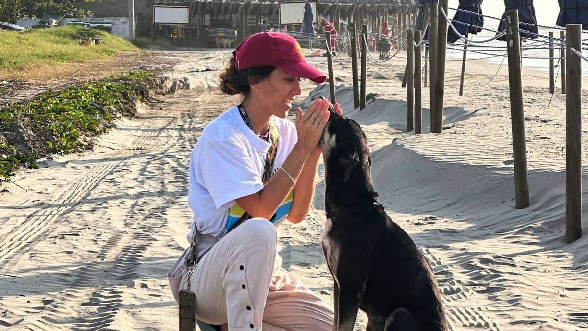 El documental “Perros de Hotel” visibiliza la realidad de los perros comunitarios en playas colombia