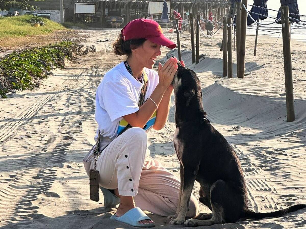 El documental “Perros de Hotel” visibiliza la realidad de los perros comunitarios en playas colombia