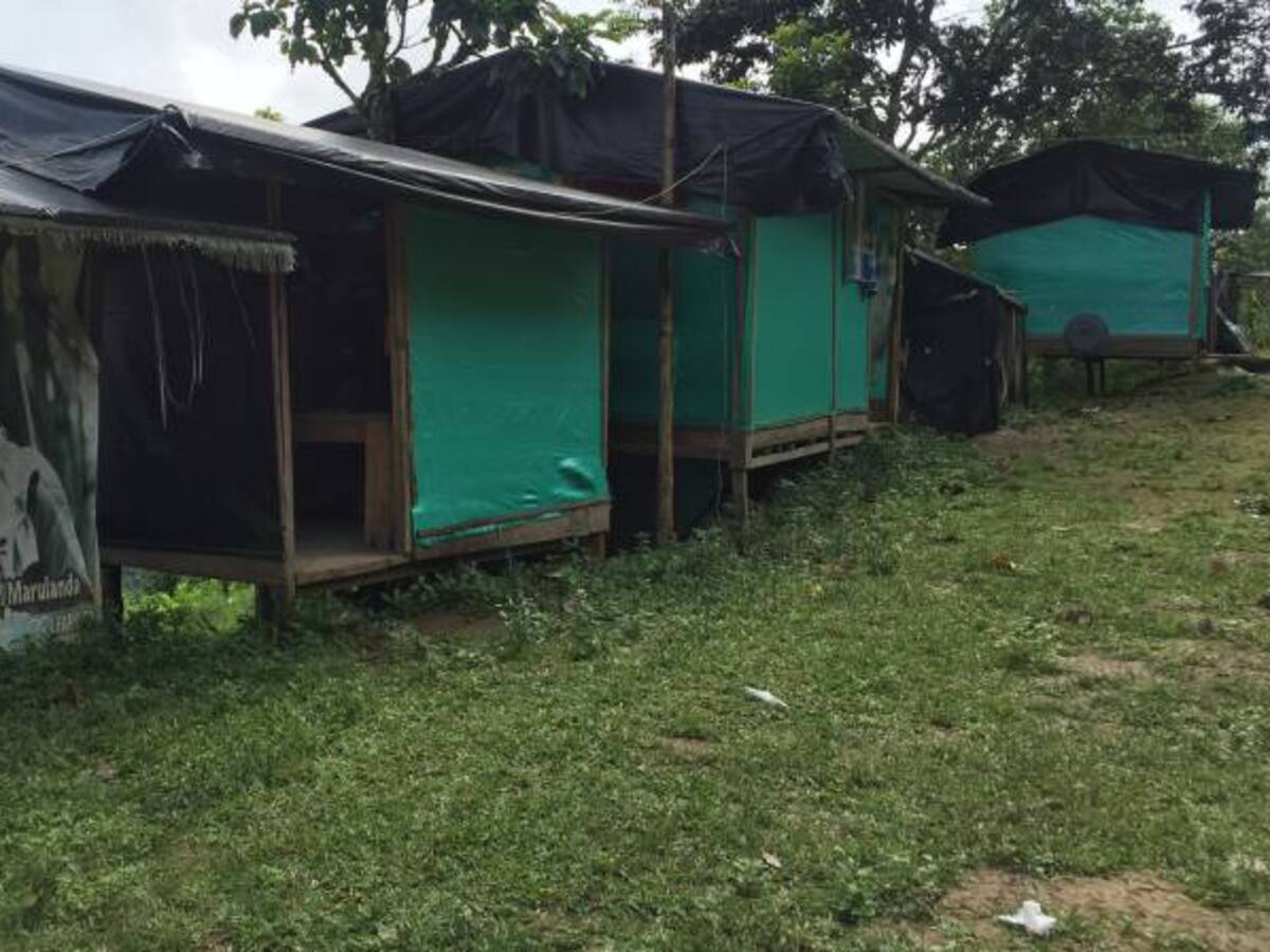 El próximo 25 de noviembre miembros de las Farc salen de Policarpa