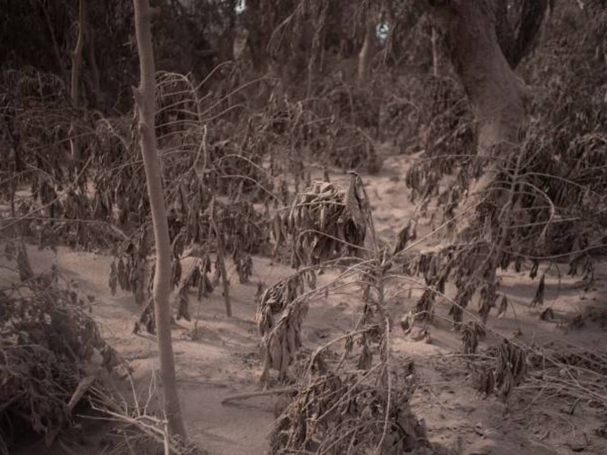 FAO ofrece a Guatemala apoyo para evaluar daños por erupción volcánica