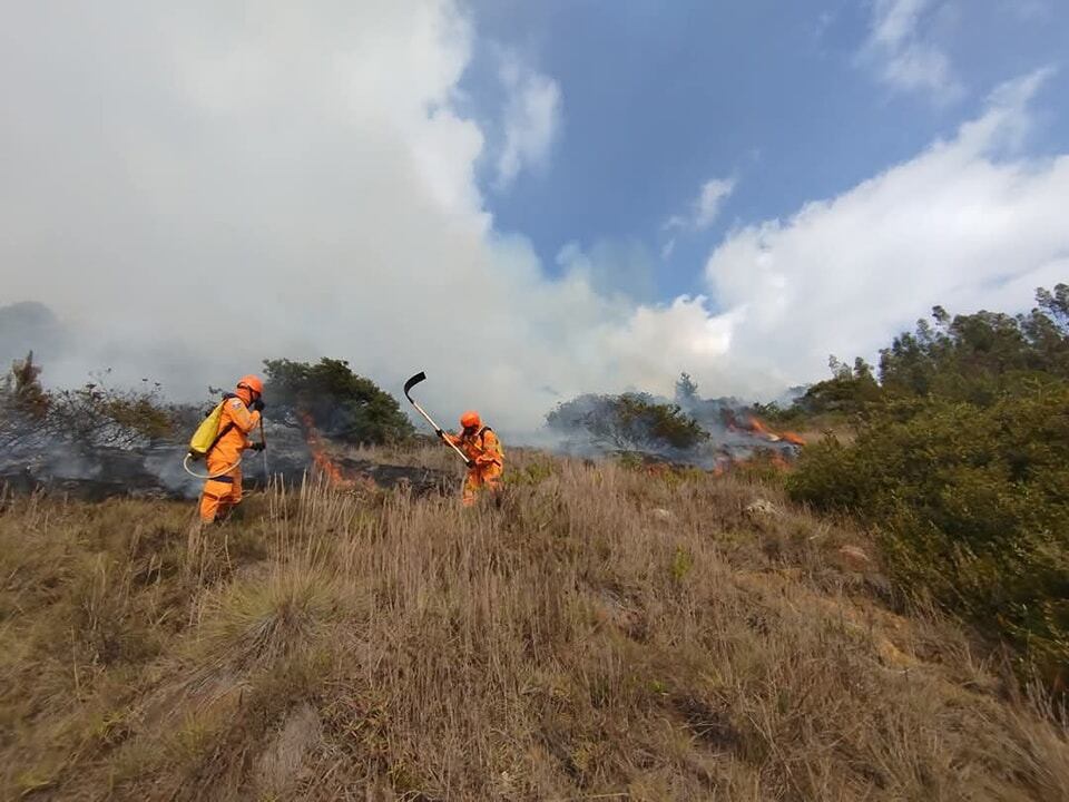 Los dos incendios en Pesca desatan alarma, las autoridades trabajan para contener el fuego en Toledo y Llano grande e investigan quien está detrás de ambas emergencias