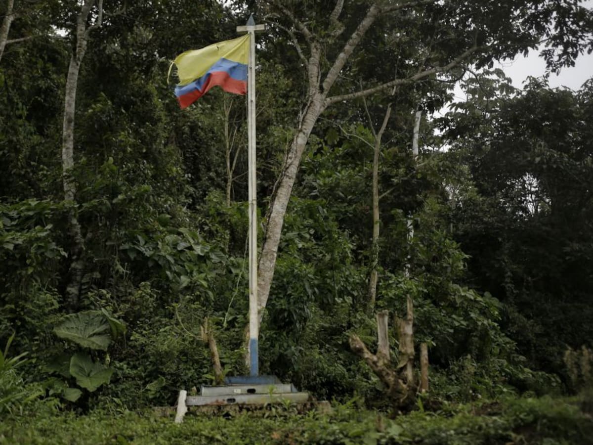 La ONU preocupada por asesinato de líderes y excombatientes