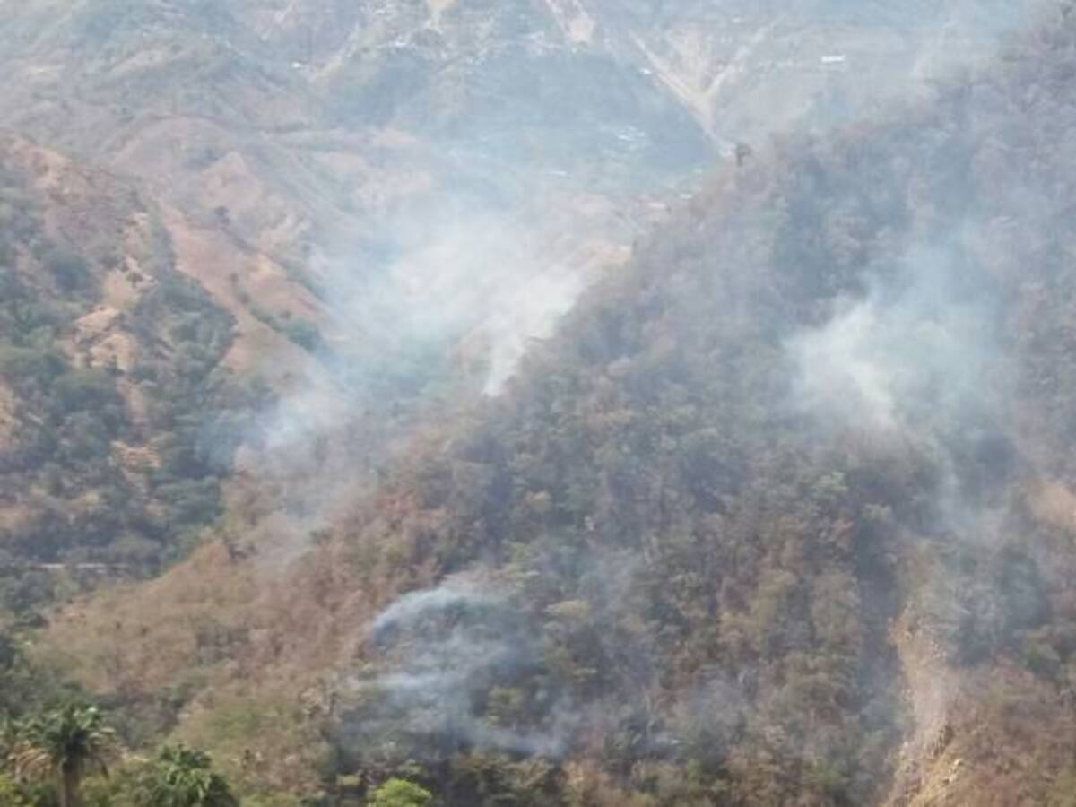 Pastos y bosques naturales: los afectados con incendios en Caldas