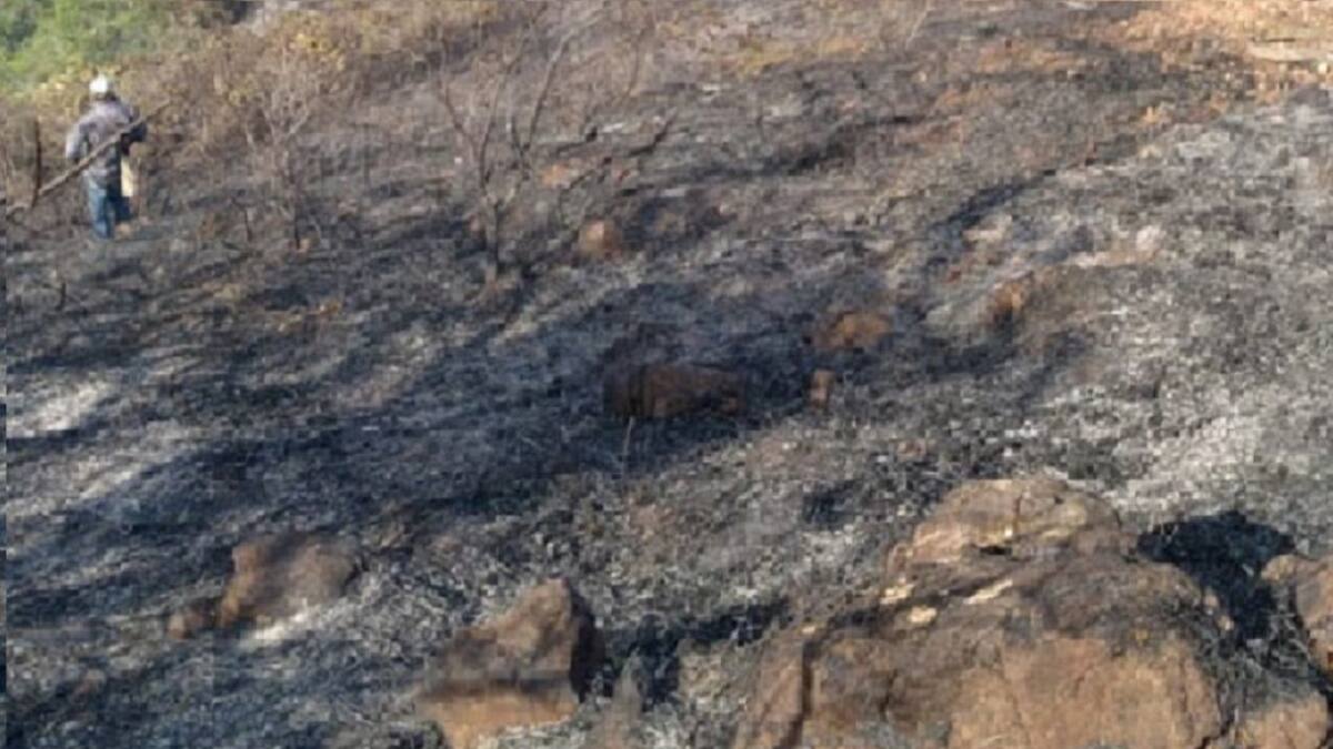 Teniente Rafael Herrera