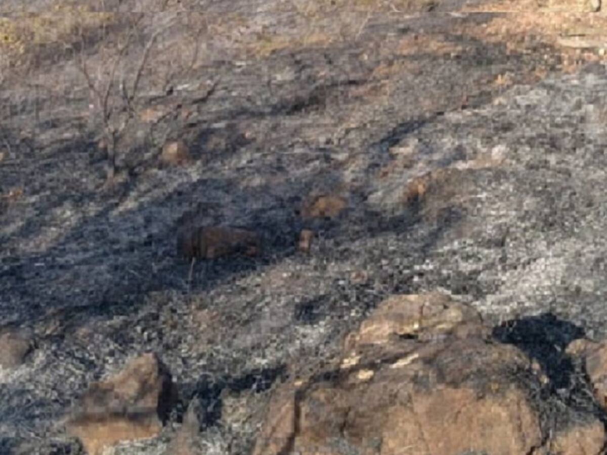 Tres días lleva un incendio forestal en Piedecuesta