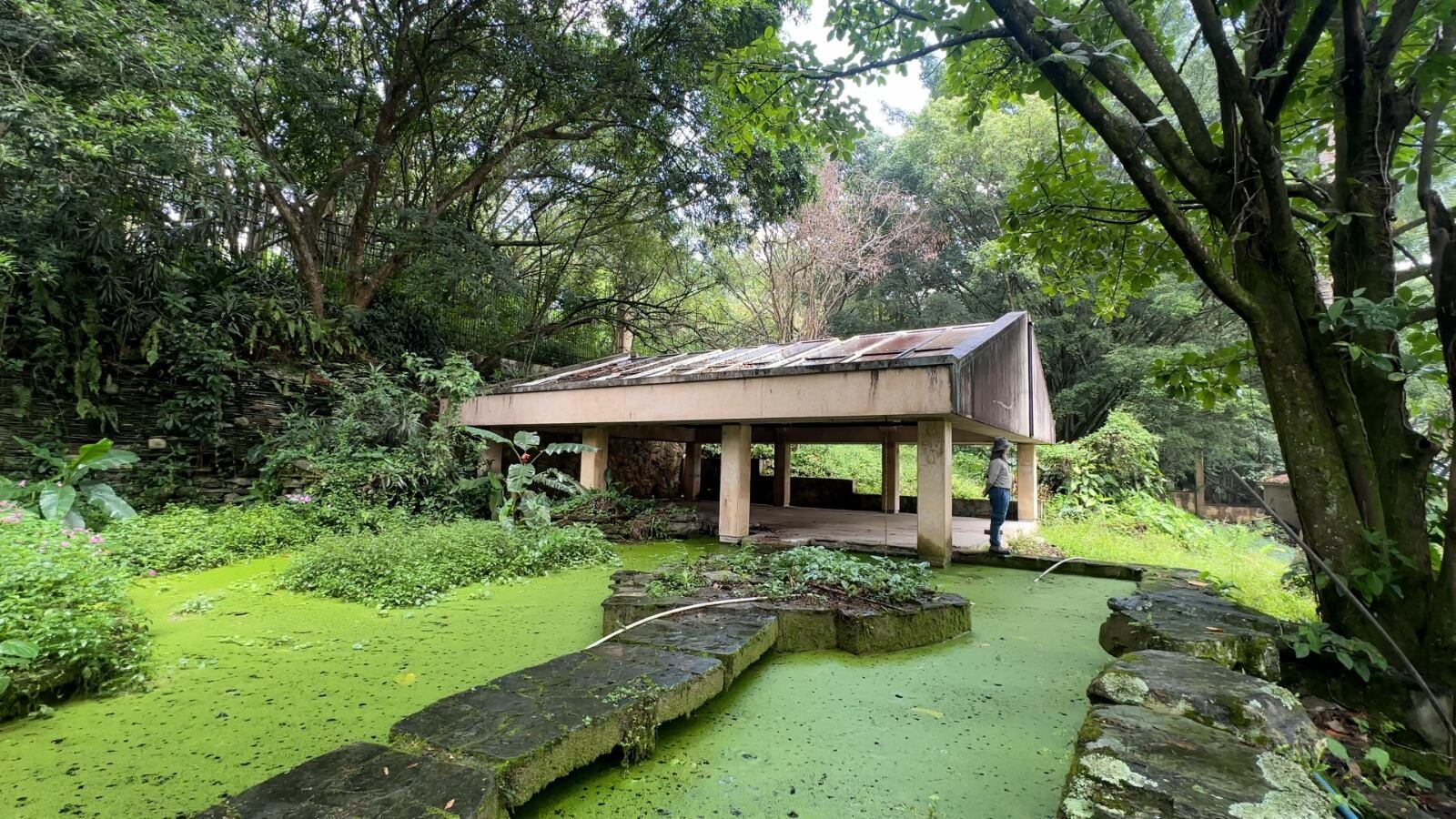 Mansión Montecasino, de los hermanos Castaño ubicada en el barrio El Poblado, Medellín. Foto: cortesía
