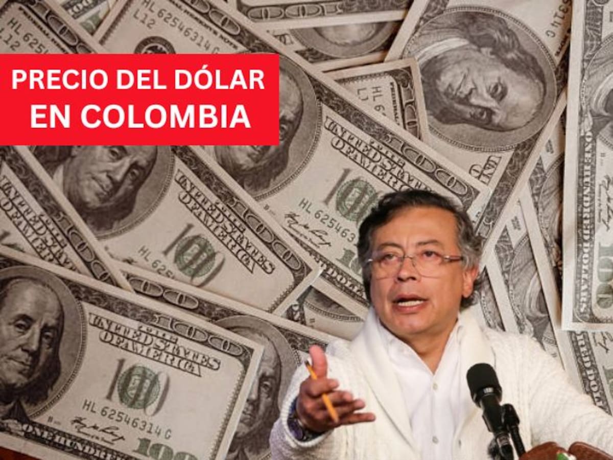 Precio del dólar en Colombia HOY 26 de enero: comienza la semana con un leve aumento