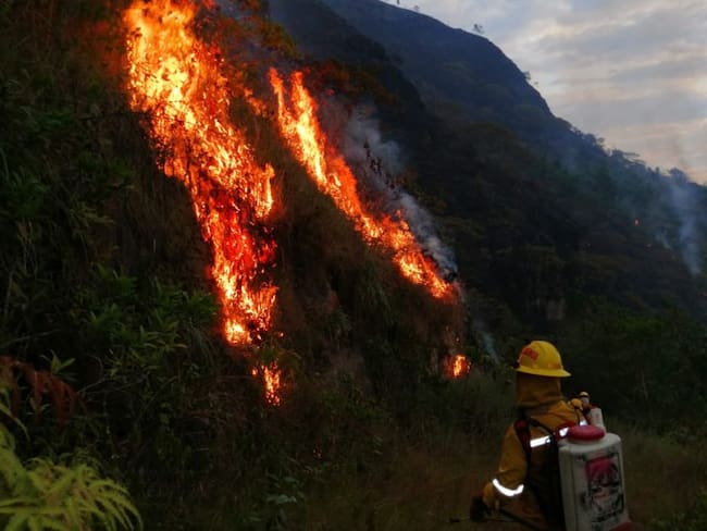 Extinguieron incendio que dejó tragedia ambiental en Macanal, Boyacá