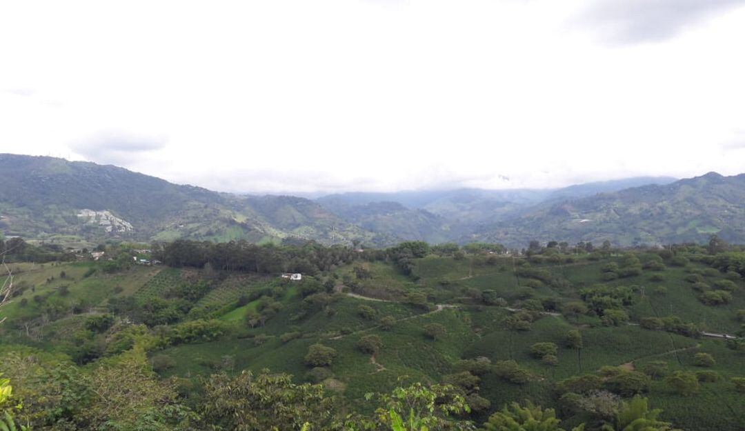 Todos los días Escuche la información local en Caracol Radio 5:45, 6:48, 7:48 y 8:45 a.m.