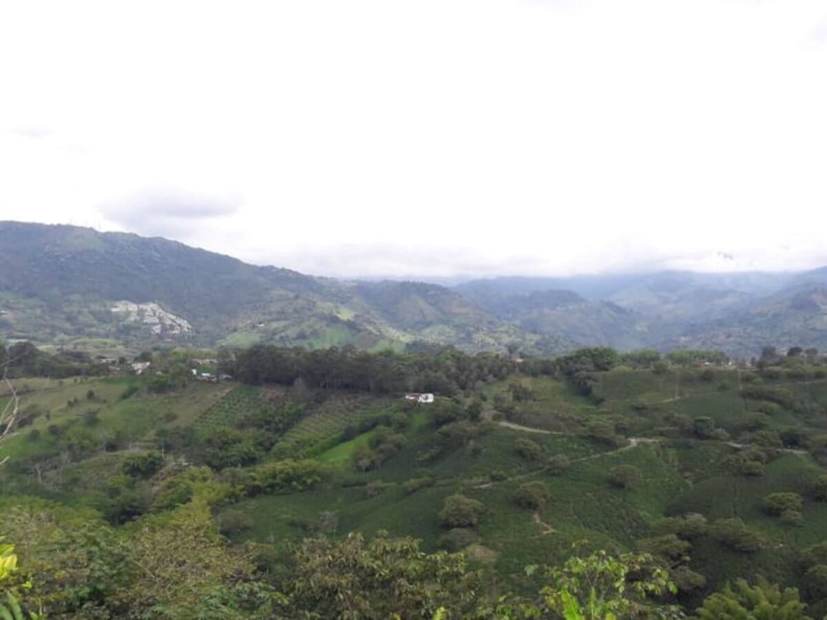 Las noticias más importantes de Armenia y Quindío, miércoles 5 de diciembre