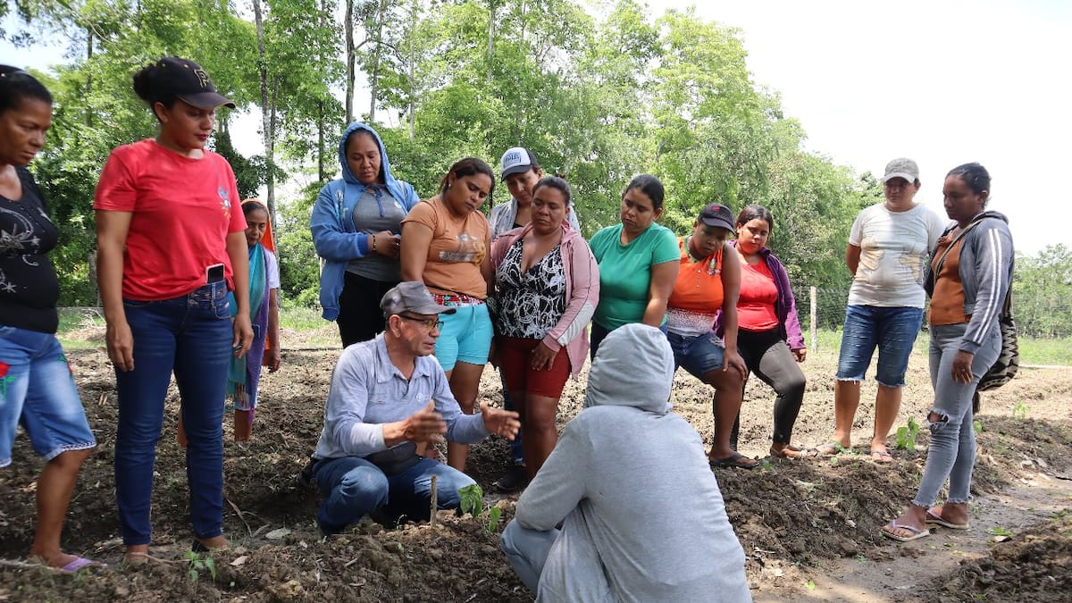 La FAO lidera acciones anticipatorias para proteger a agricultores del impacto climático