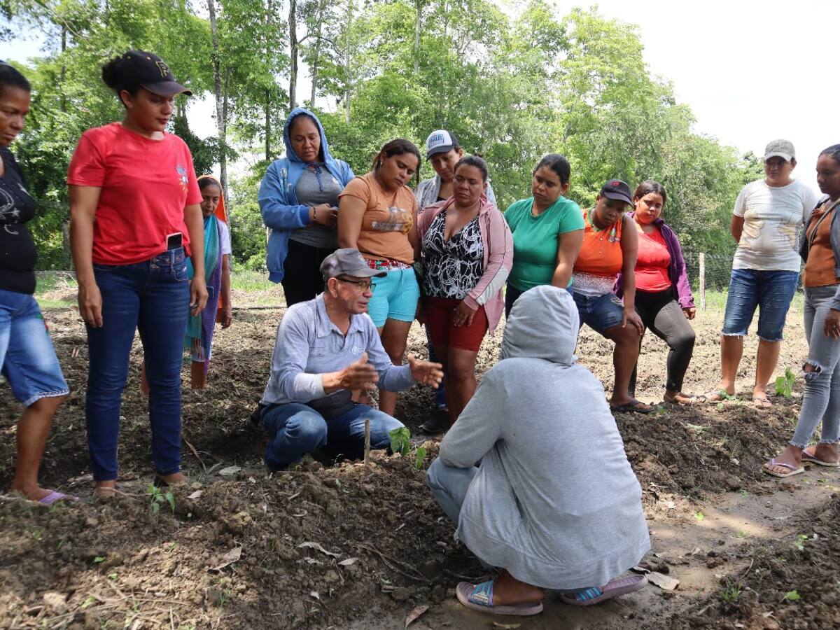 La FAO lidera acciones anticipatorias para proteger a agricultores del impacto climático