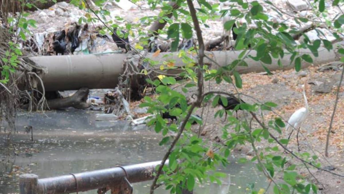 Suspenden servicio de agua en el occidente de Caldas