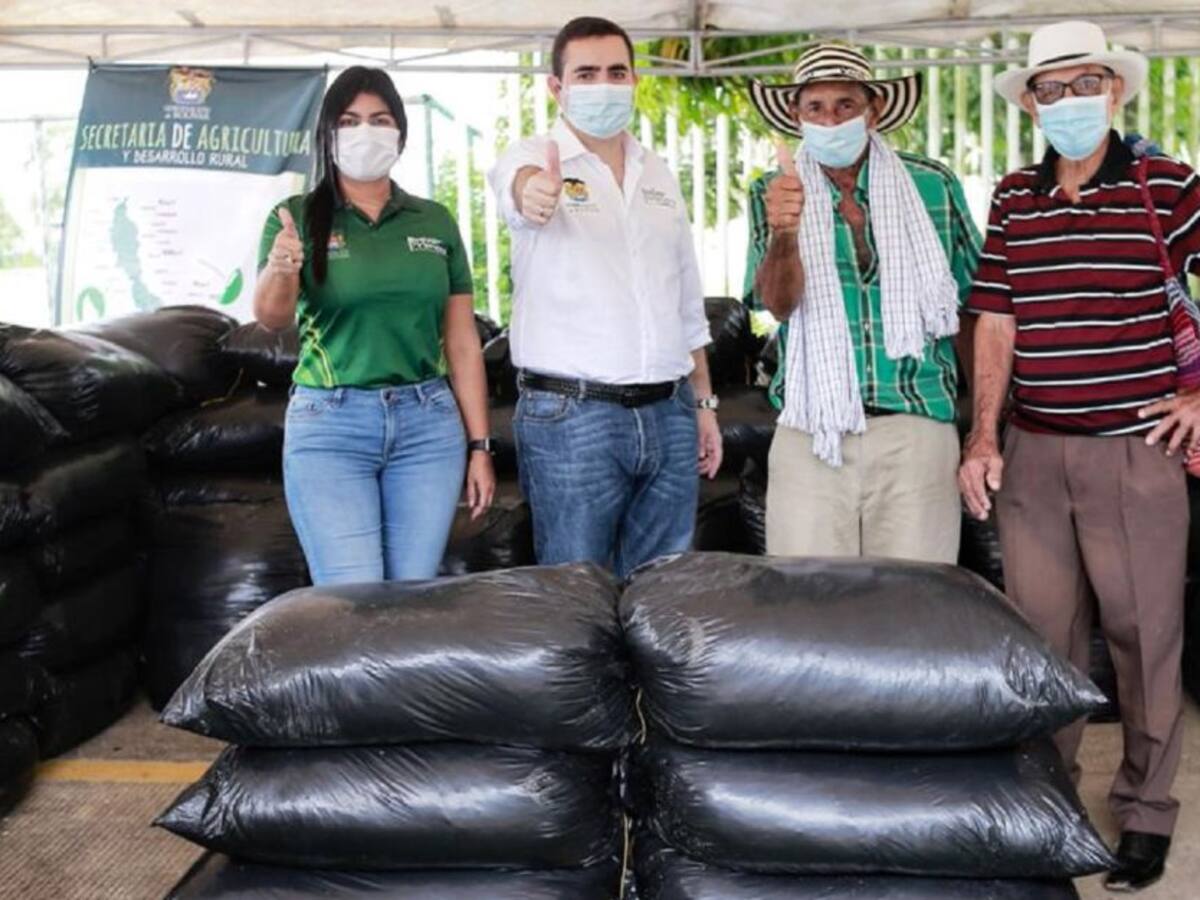 Gobernación entregó 34 toneladas de silo a pequeños productores de Mompox