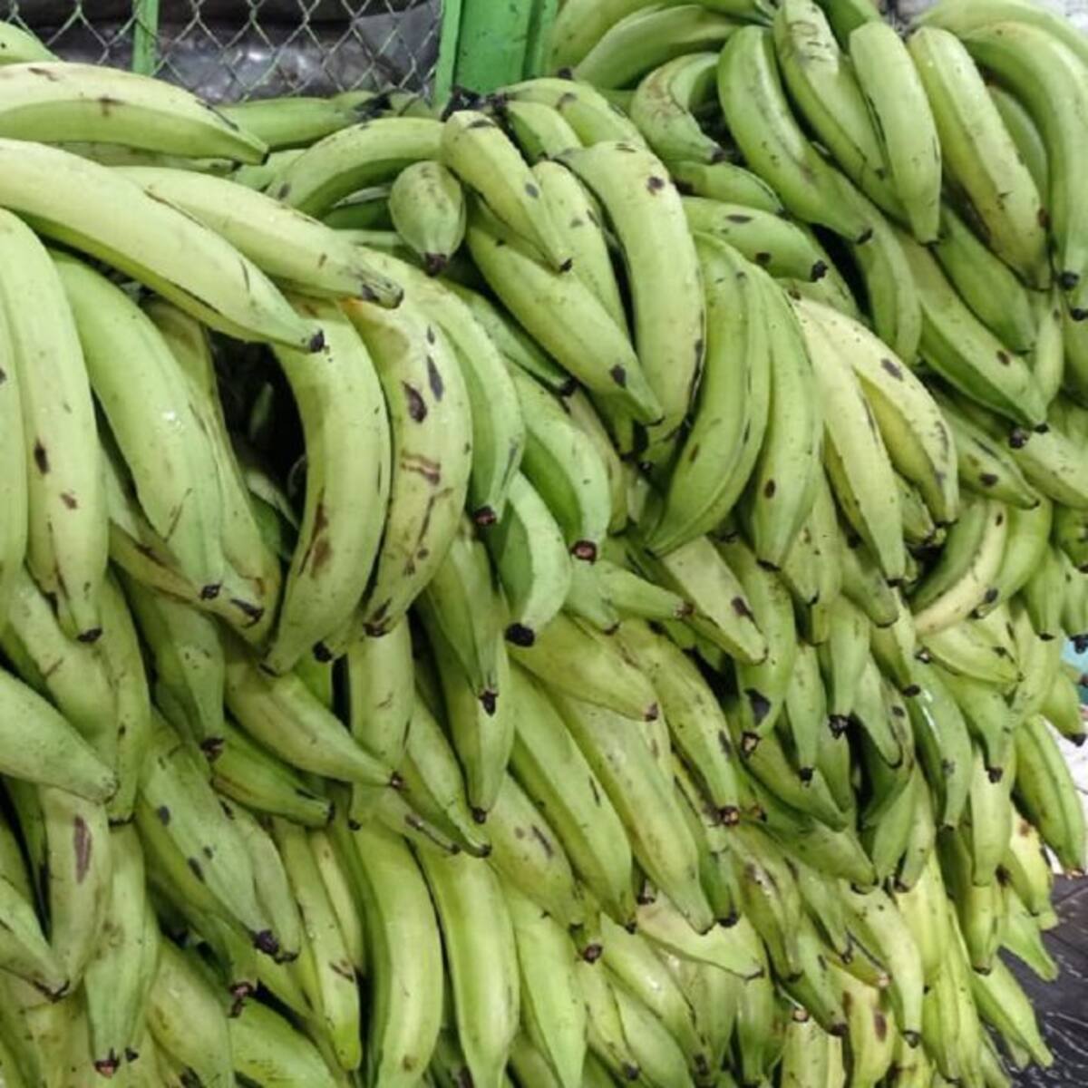 Precio del plátano está también "por las nubes"