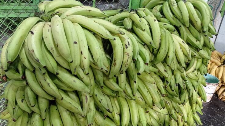 Comerciante de Plátano