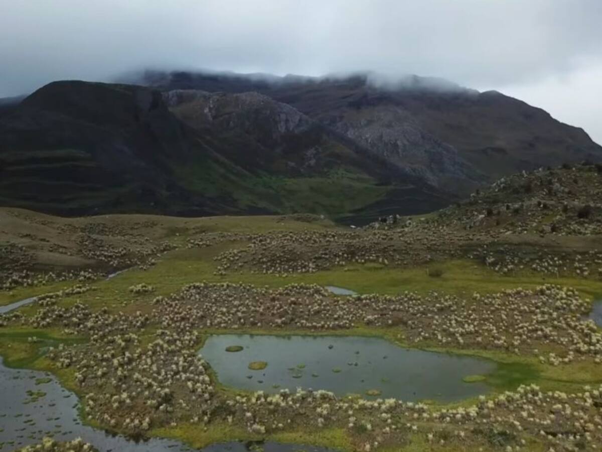 Una explosión de agua y vida para cuidar