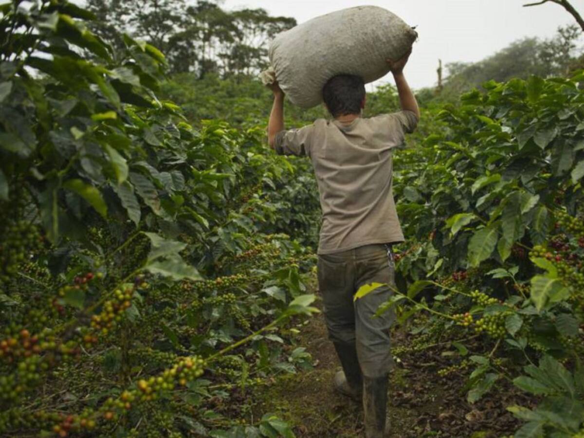 Minagricultura lanzará la línea de crédito “el campo avanza”