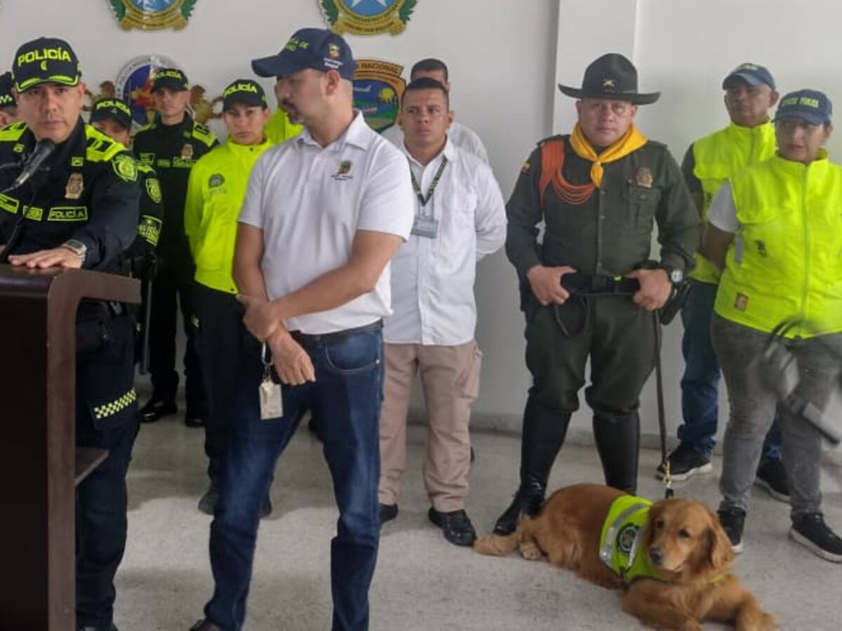 Más de 1.000 policías garantizarán este fin de año la tranquilidad en Ibagué