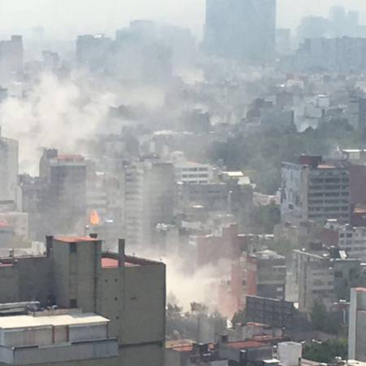 Pereiranos en México ayudan a las familias colombianas a encontrarse