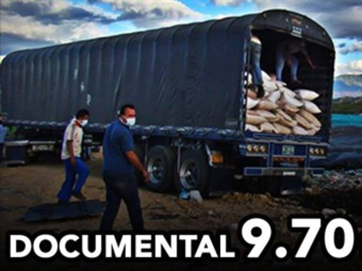 Pequeños productores pueden guardar semillas para resembrarlas: ICA