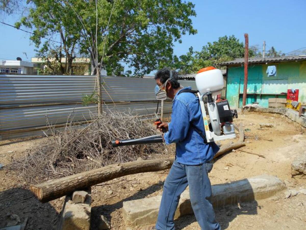 En Cartagena realizan comité de seguimiento tras alarma por dengue