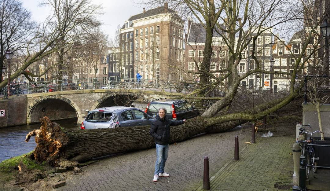 Caída de árbol por las fuertes ráfagas de viento en Reino Unido.          Foto: Getty 