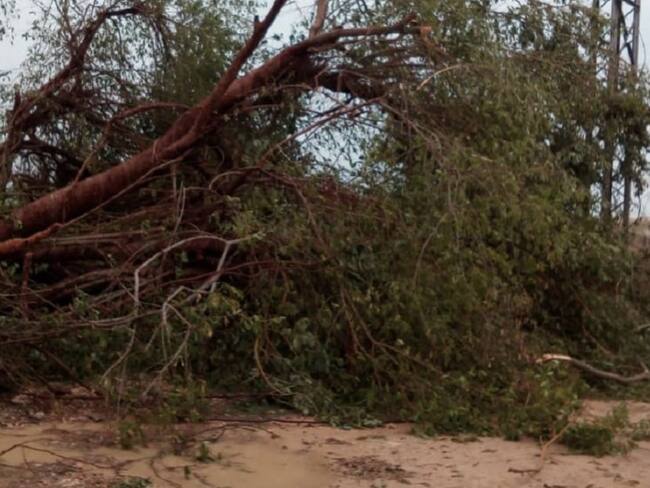 Vendaval afectó casas y servicio de energía en Gambote, Bolívar