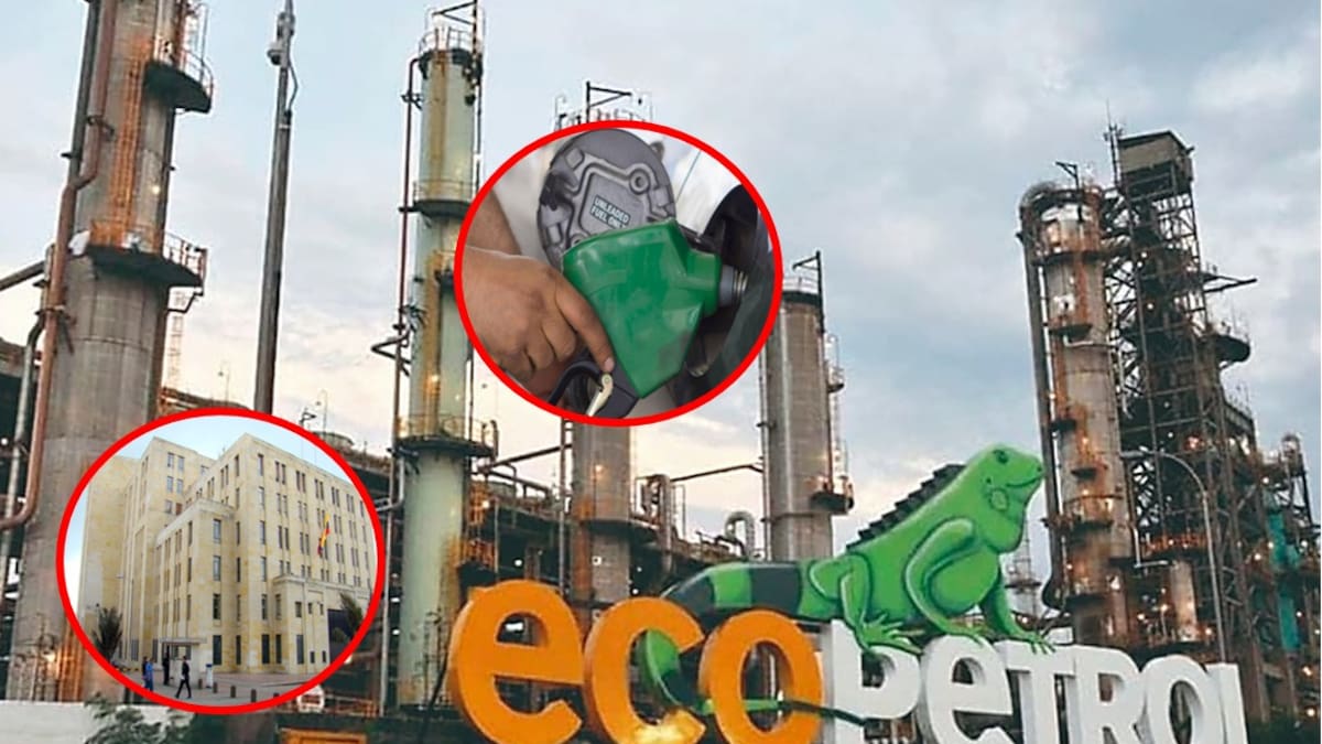 Las utilidades de Ecopetrol en el 2024 fueron de $ 14.9 billones, con una reducción del 21.7%