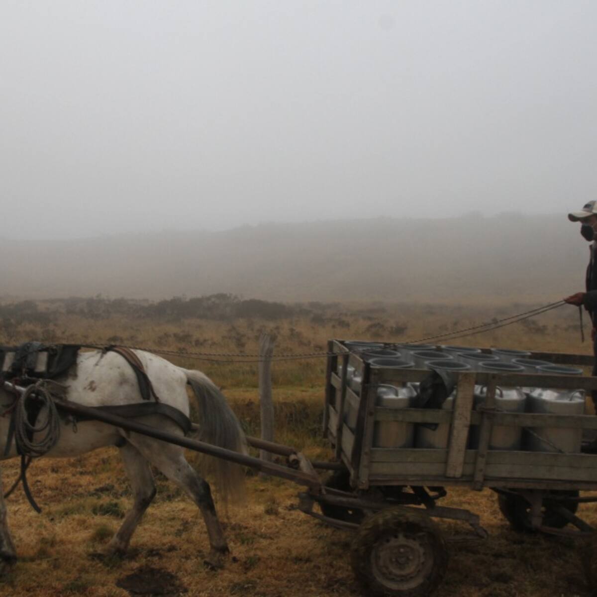Continúan aumentando las afectaciones por las heladas en Boyacá
