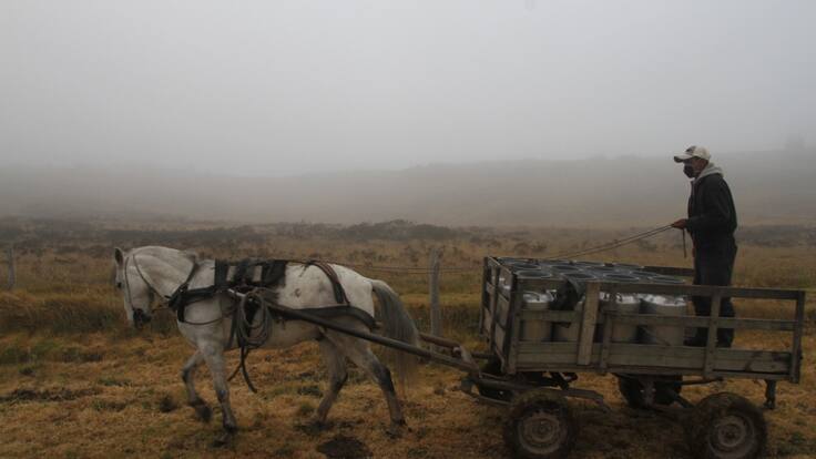 MinAgricultura de La Luciérnaga: “El tema de las heladas me deja frío”