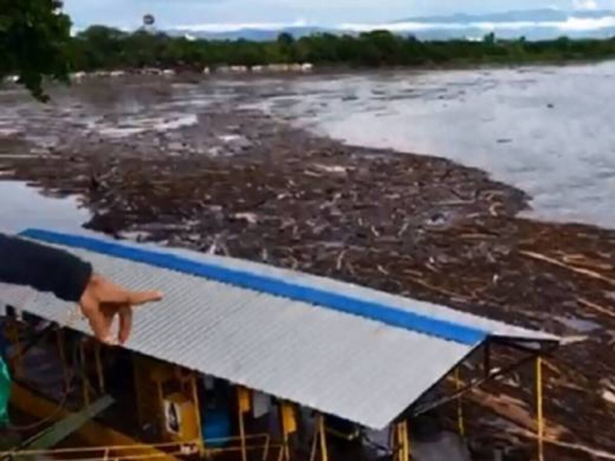 Previenen a habitantes de isla Cabica, en Soledad, por paso de maderada
