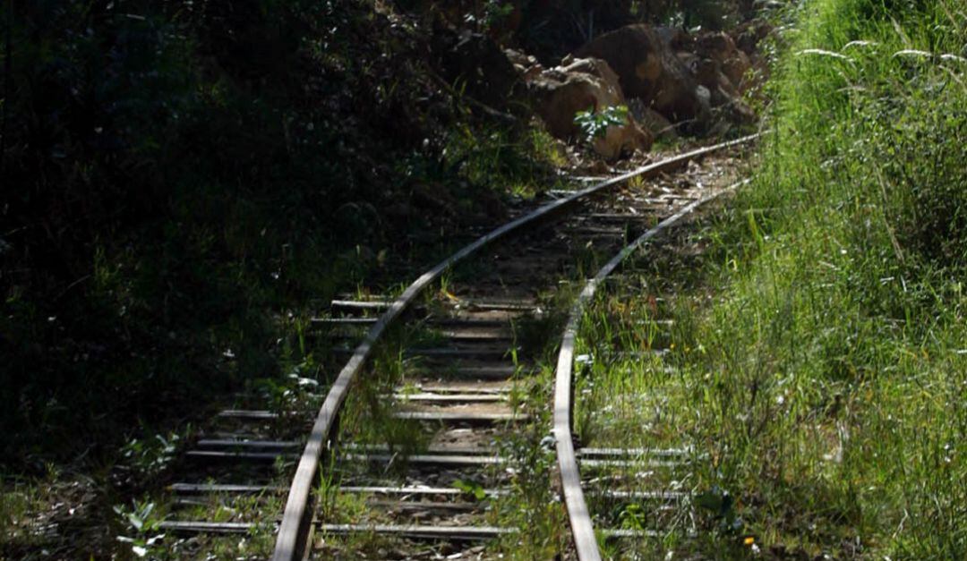 Imagen de referencia