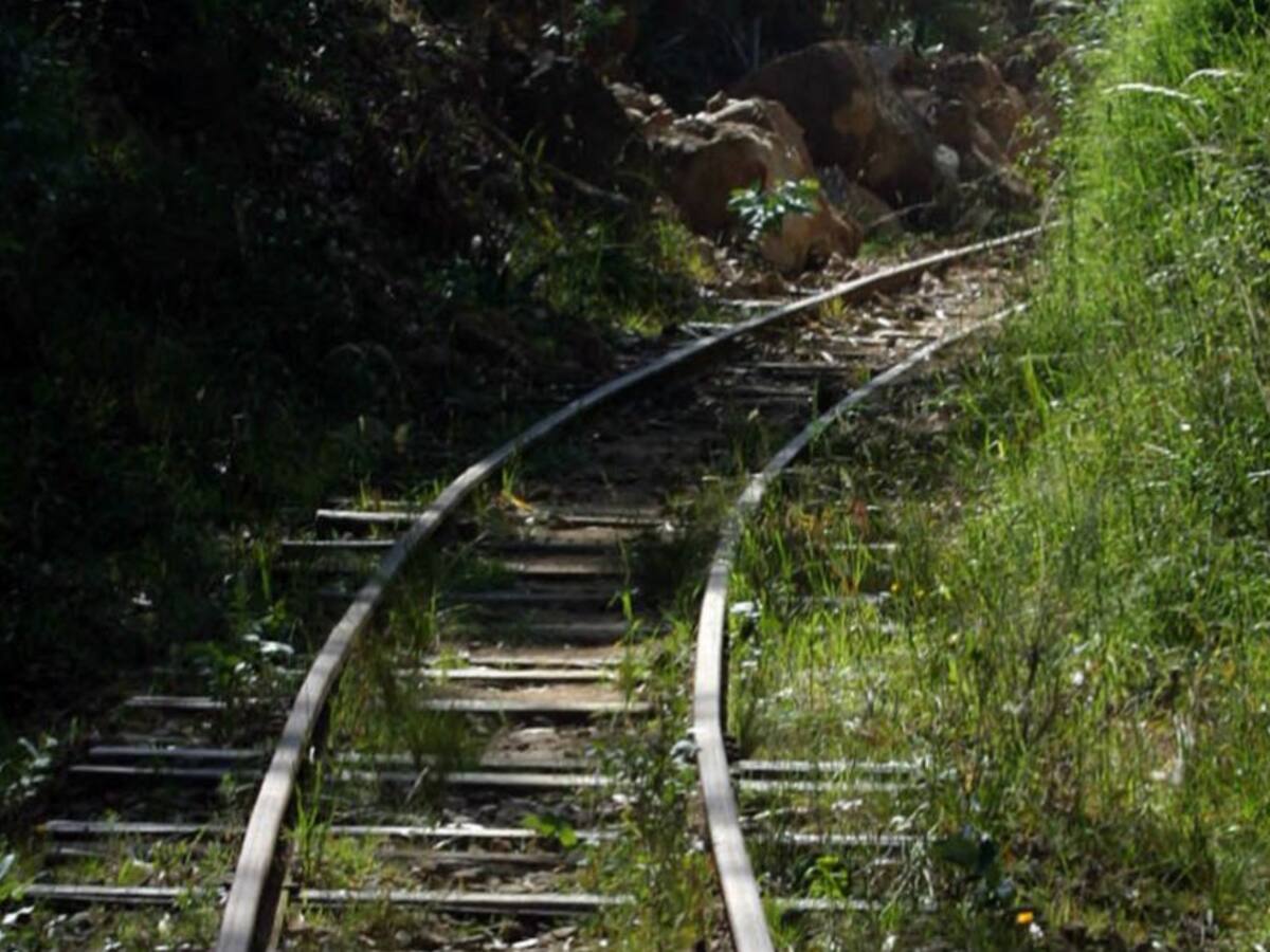 Sí habrá estudio para el tren regional de la Costa