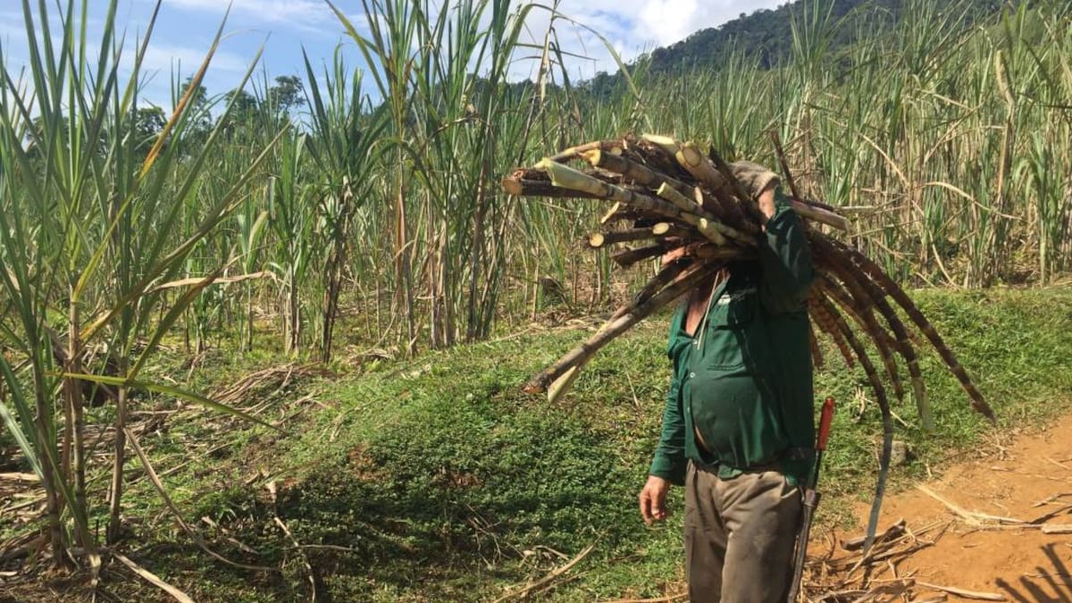 Colombia tardaría 62 años en reparar a las víctimas del conflicto armado