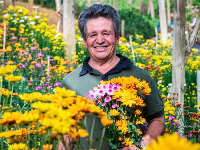 Flores de Medellín: la estrategia para ayudar los floricultoras de la feria