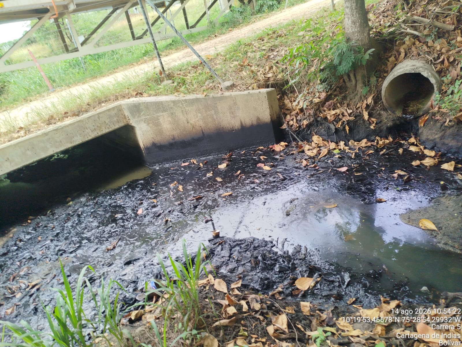 Vertimientos de aguas contaminantes. // Cardique