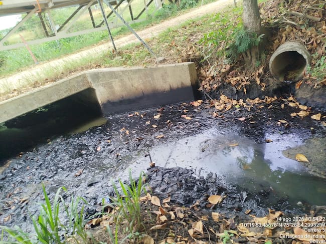 Vertimientos de aguas contaminantes. // Cardique