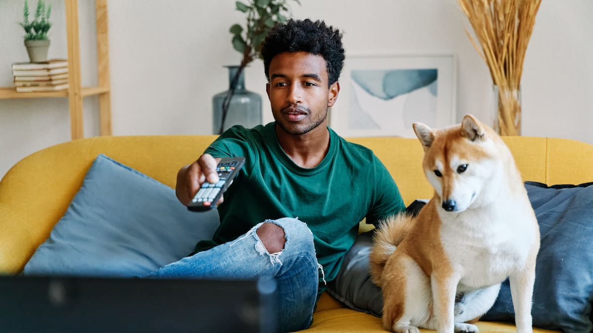 ¿Qué programas prefieren ver los perros en televisión?