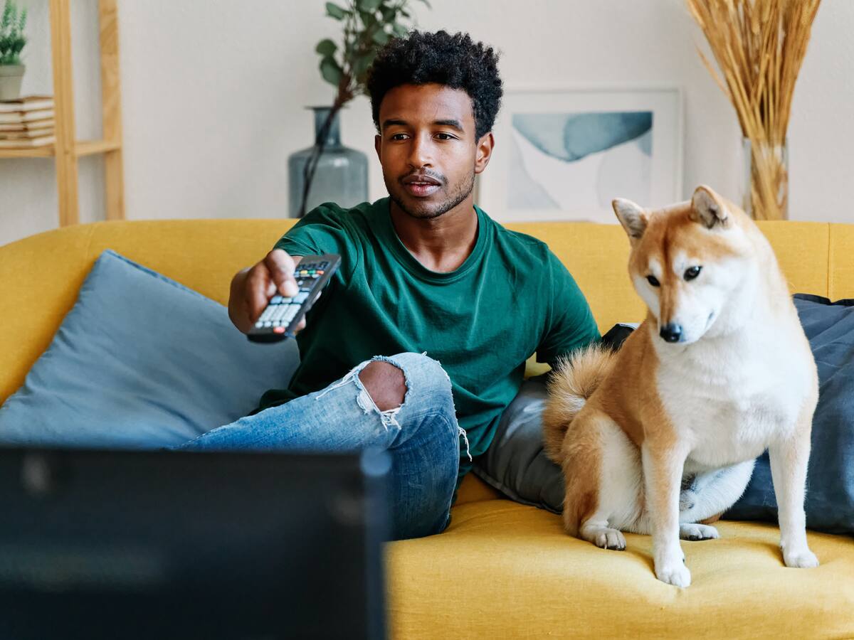 ¿Qué programas prefieren ver los perros en televisión?