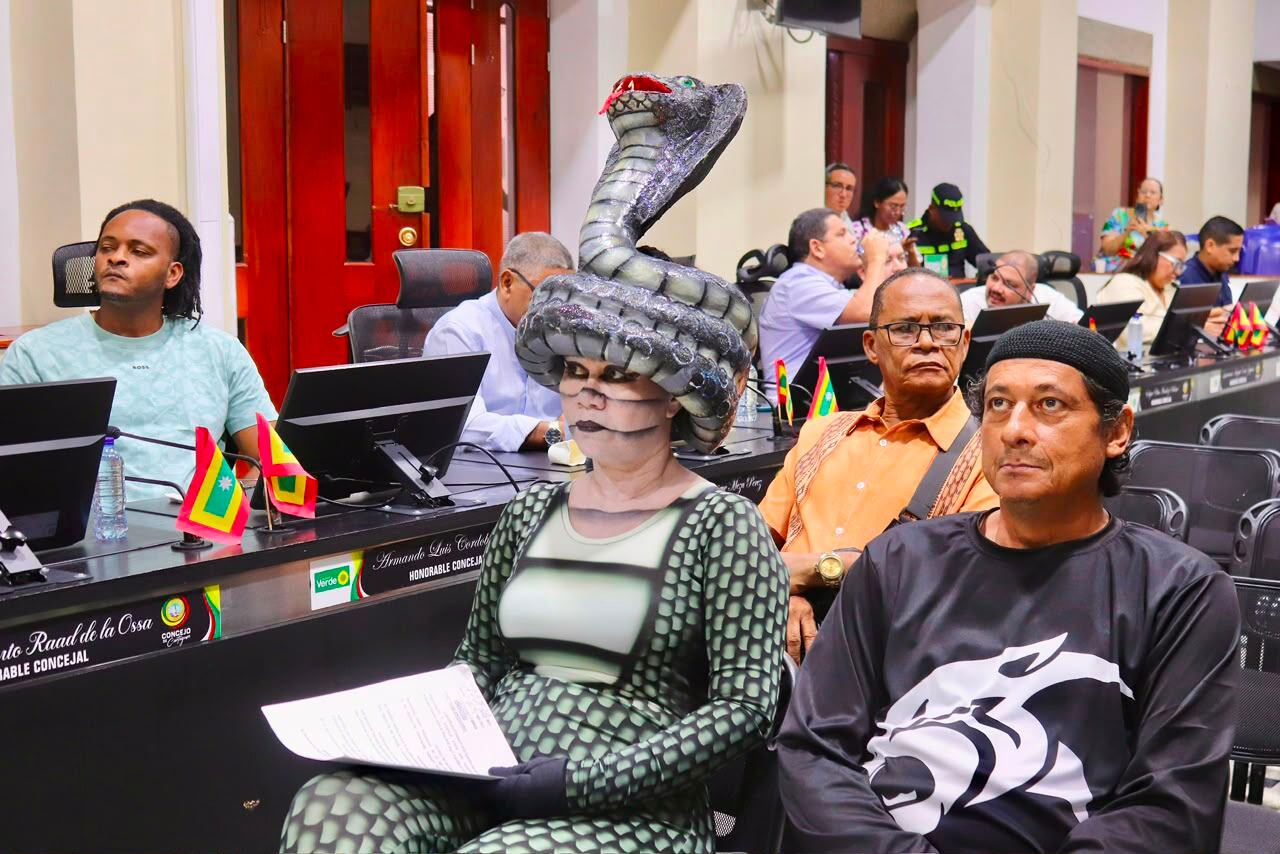 Representantes del sector cultural intervinieron en sesión informal ante la plenaria para exigir mesas técnicas. // Concejo Distrital